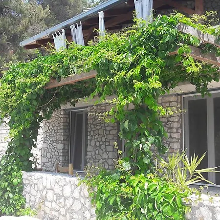 Holiday Venta